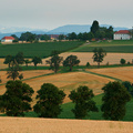 Austrian Landscape