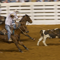 Rodeo Show in Fort Worth