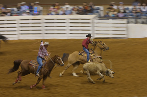 Rodeo Show in Fort Worth