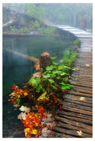 Ősz és tél határán -- Plitvicei tavak, Horvátország